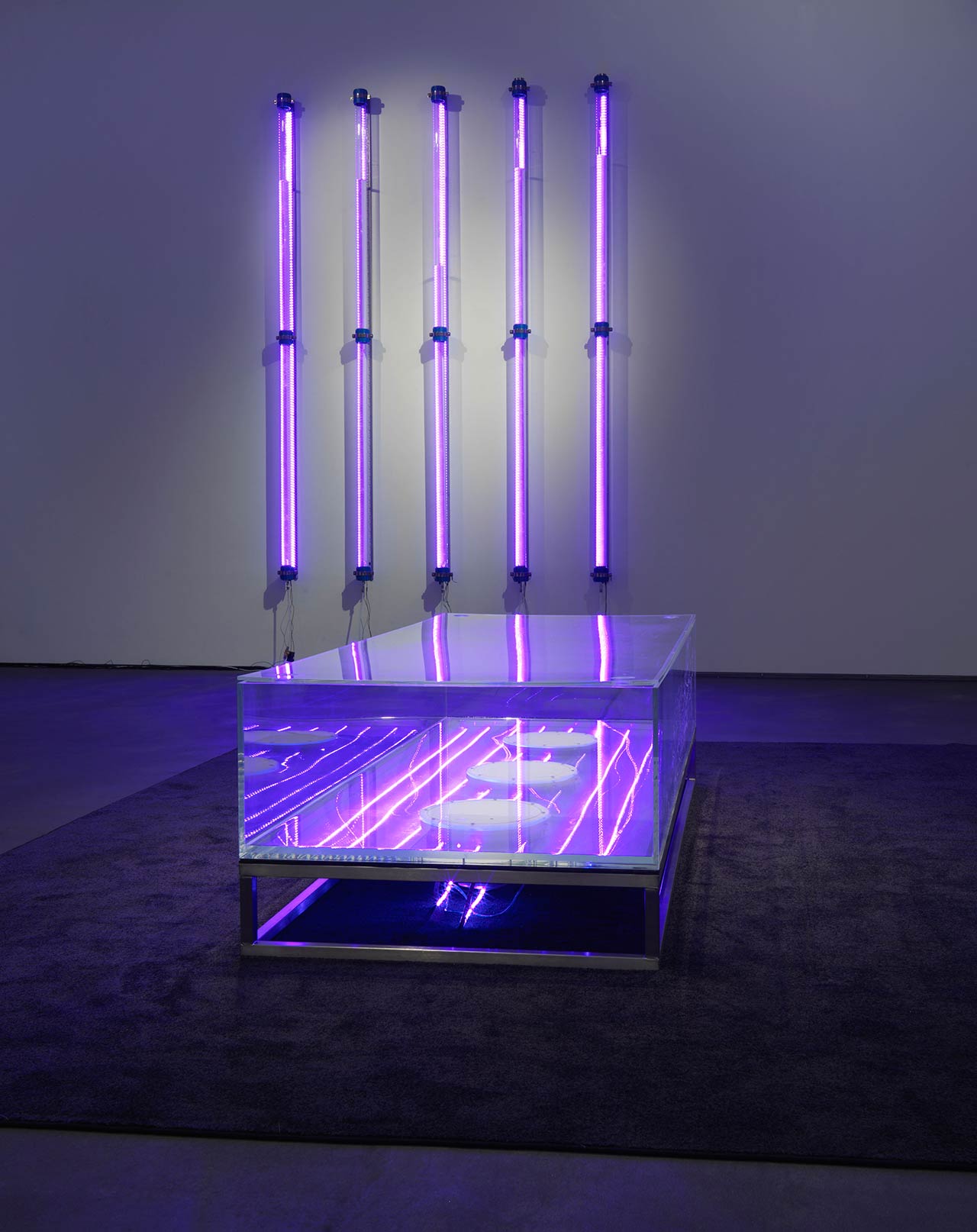 Hybrid Matter Dittrich Schlechtriem